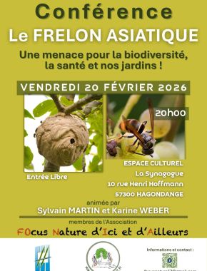 Conférence Frelon Asiatique